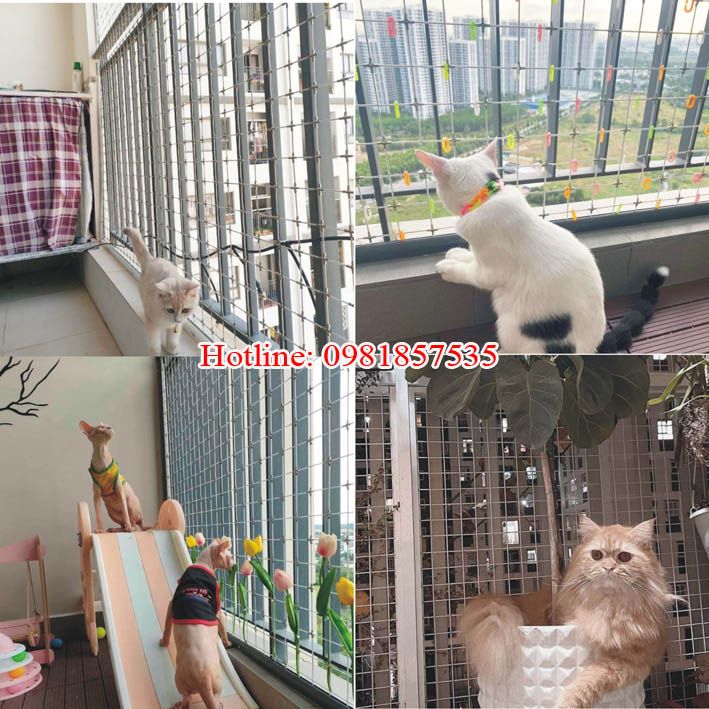 BÁO GIÁ LƯỚI AN TOÀN BAN CÔNG VIỆT ANH TỪ 120K/1M2 29 luoi an toan cho thu cung